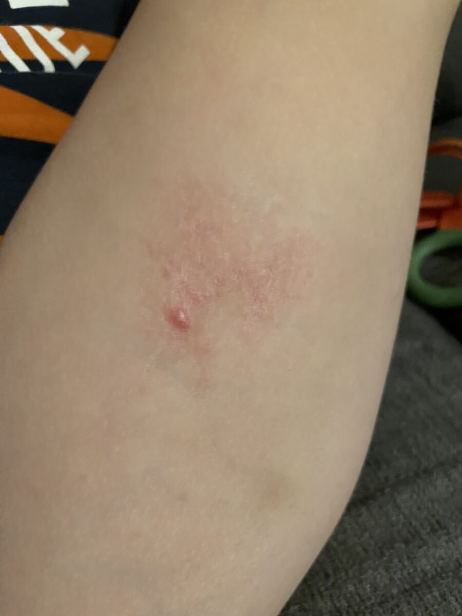 Image #1 from Sabina