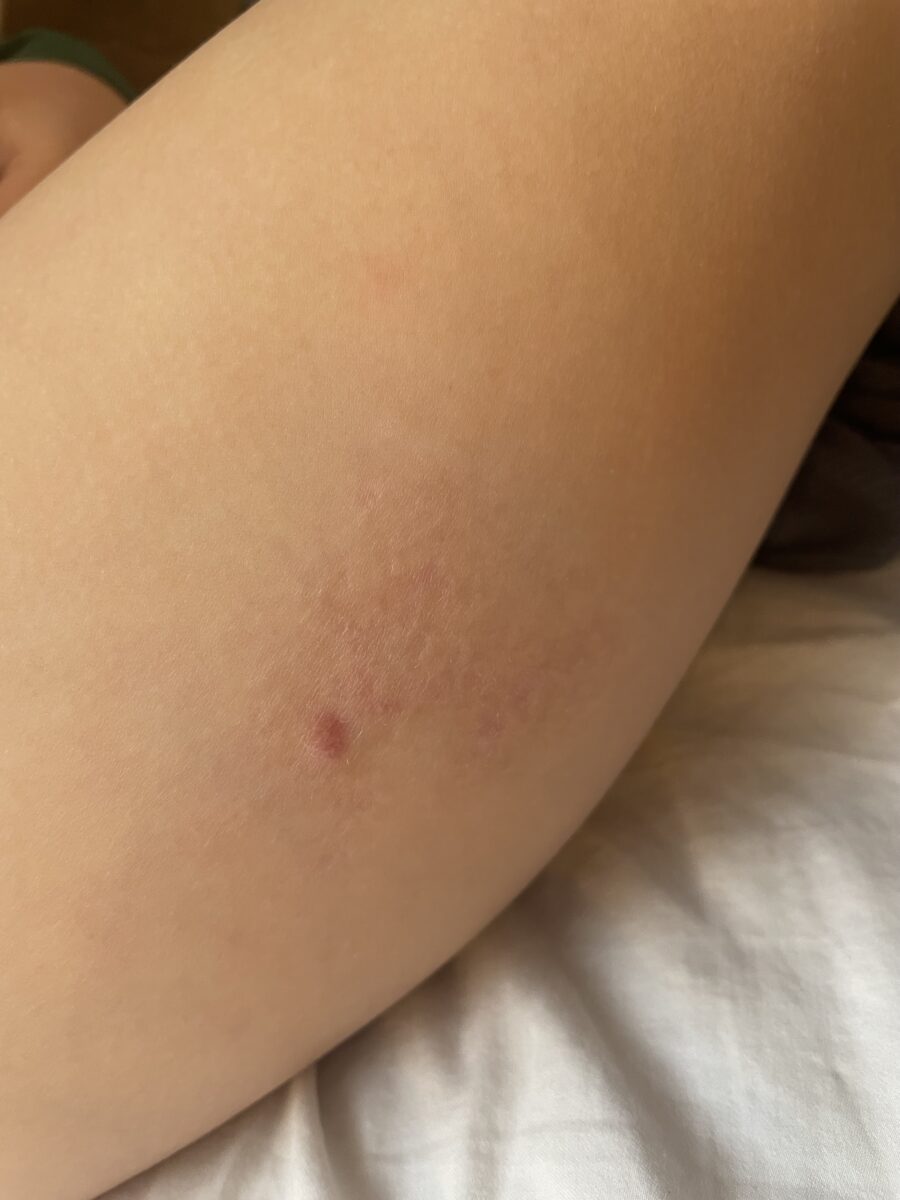 Image #2 from Sabina